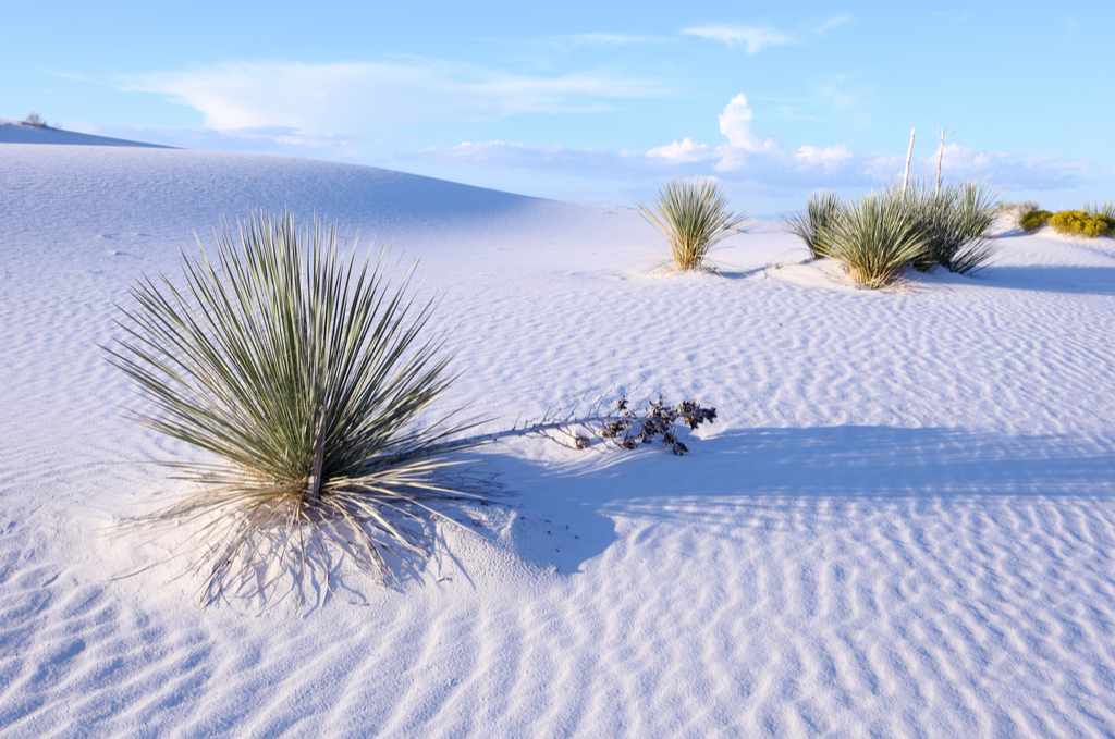 Sand Dune at White Sands National Monument, New Mexico