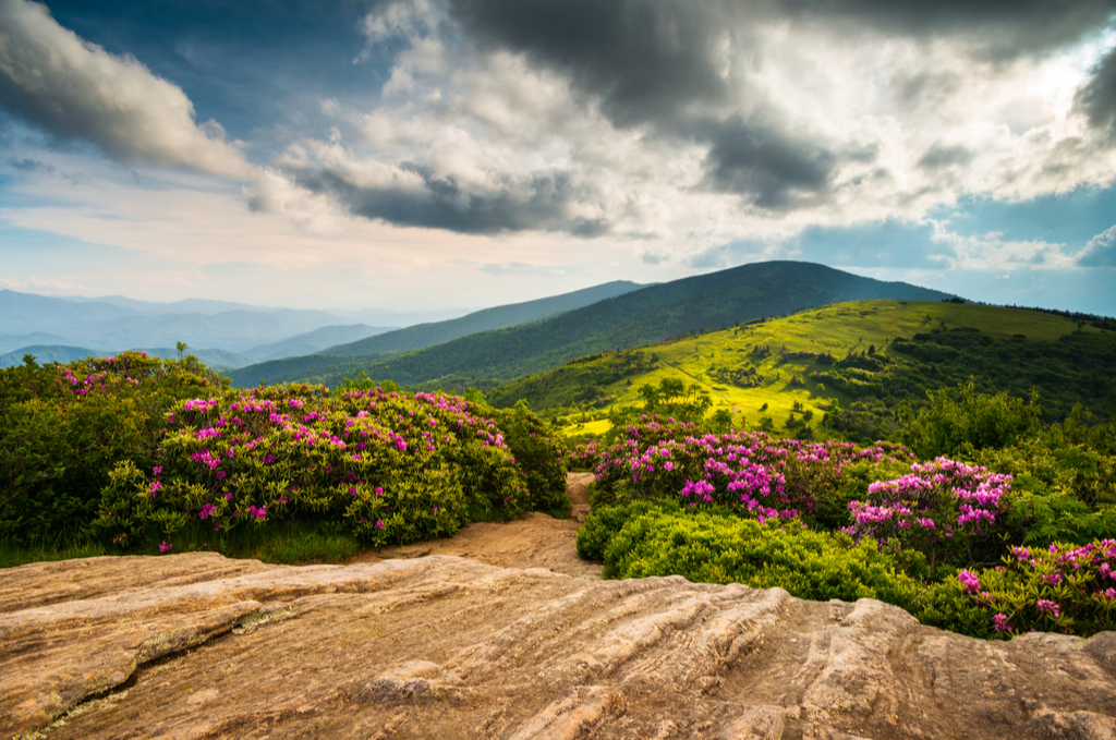North Carolina Appalachian Trail Spring Scenic Mountains Landscape hiking in the Blue Ridge Mountains of Western NC and Eastern Tennessee
