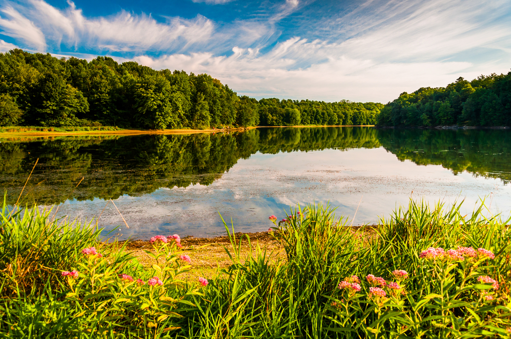Lake Marburg in Codorus State Park, Pennsylvania