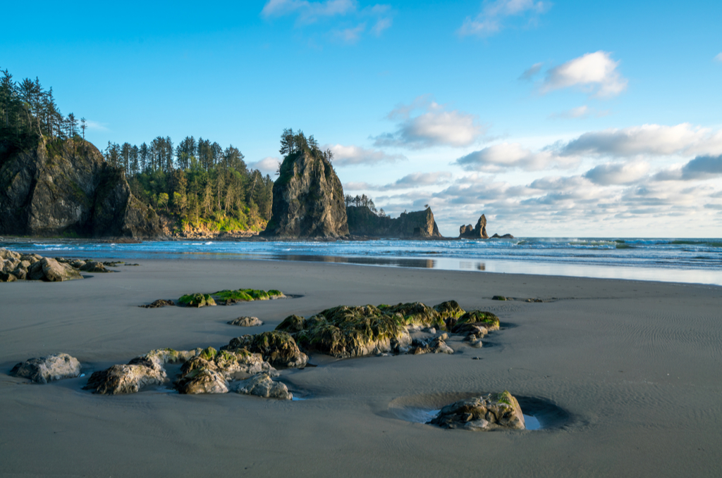 Second Beach, Pacific Ocean | Washington State