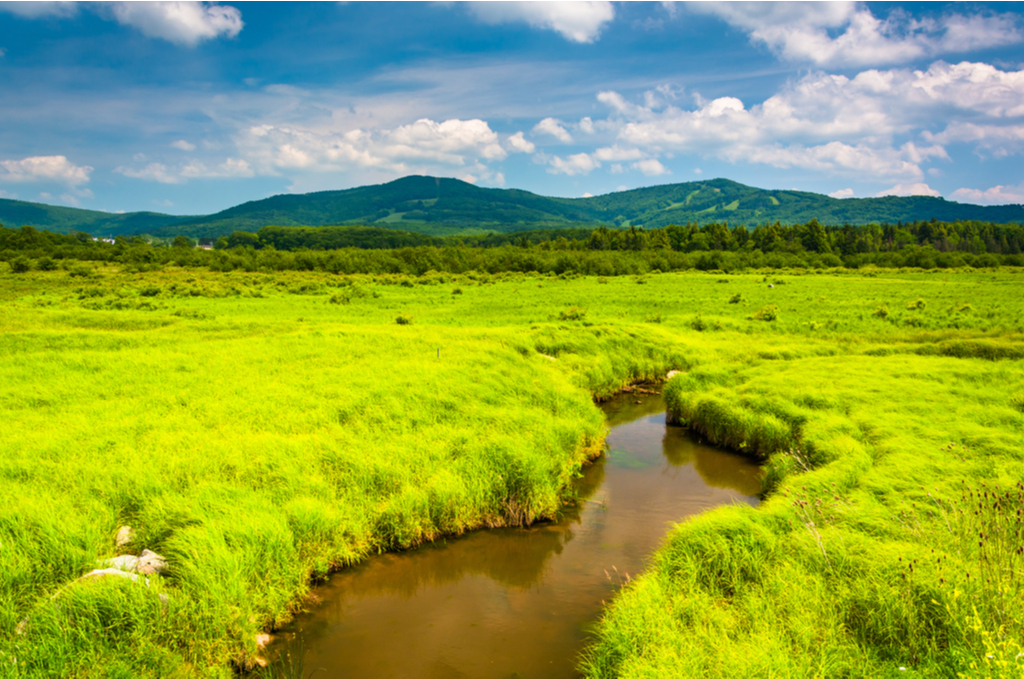 Small stream and distant mountains at Canaan Valley State Park, West Virginia